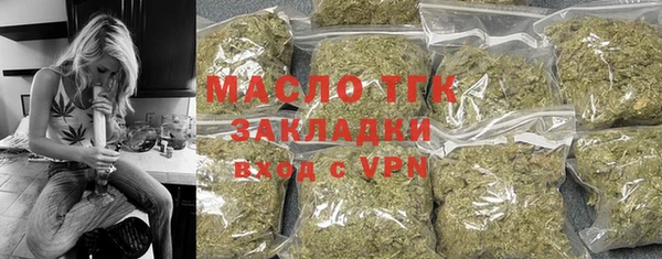 гашик Алексин