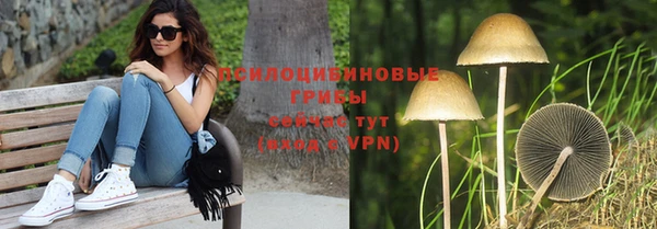 герыч Алзамай