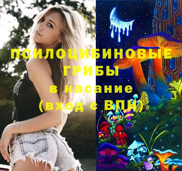 гашик Алексин